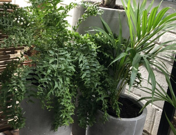 33A30257-79A4-4CD9-B0E3-352991D06B0B