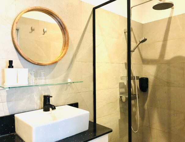 B6576C53-056D-47E8-A6BE-87E39E99D7DC_1_201_a