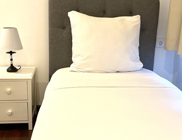 5808EC3B-007A-4781-9135-174319271C28_1_201_a